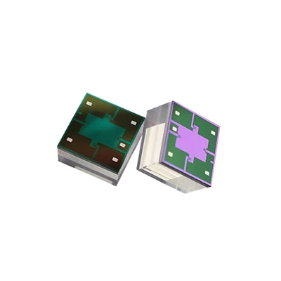 SGP 21 Series Siab Sensor Chip